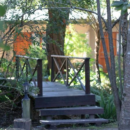 Andelomi Forest Lodge Stormsrivier Exterior photo
