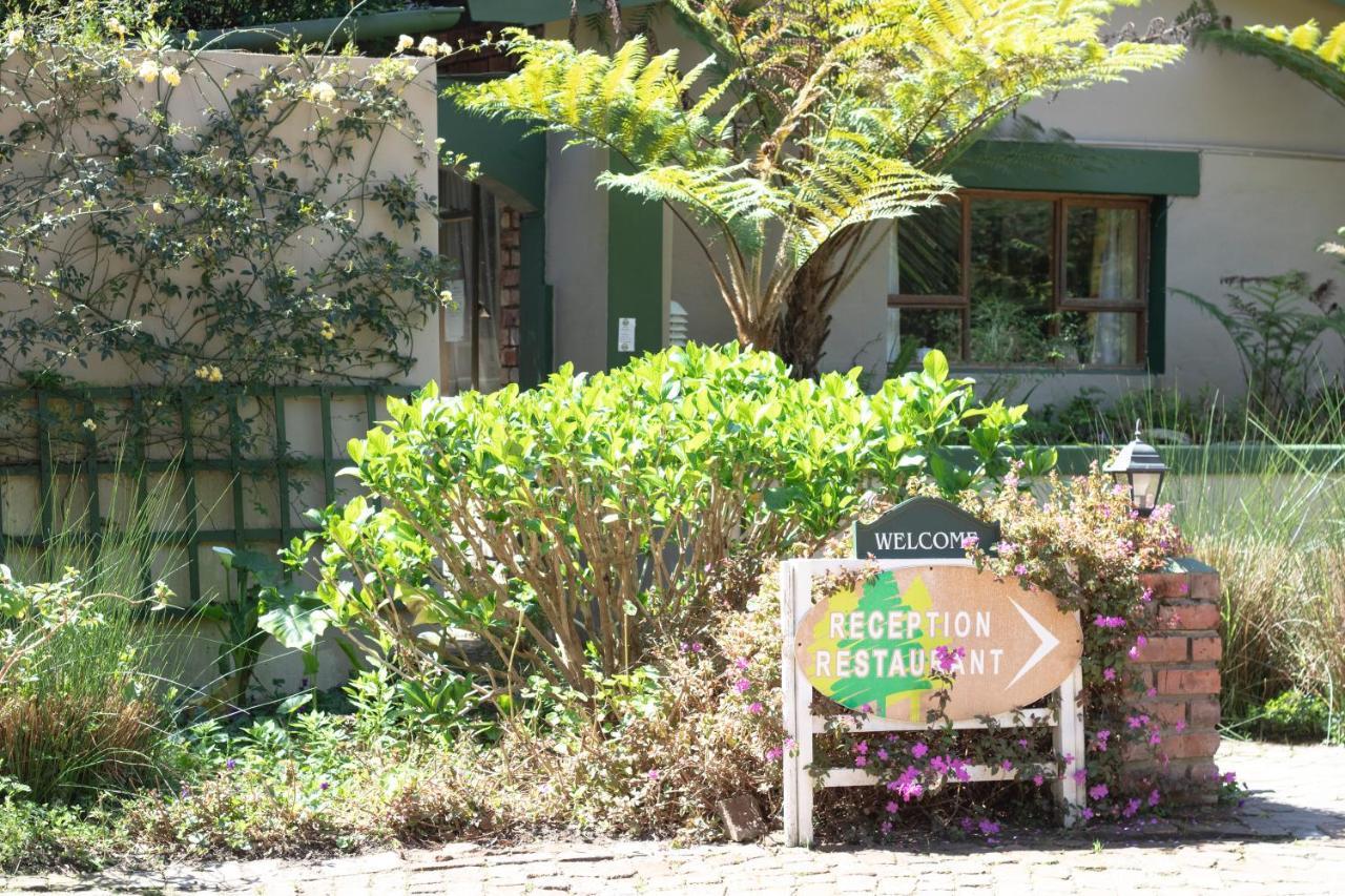 Andelomi Forest Lodge Stormsrivier Exterior photo