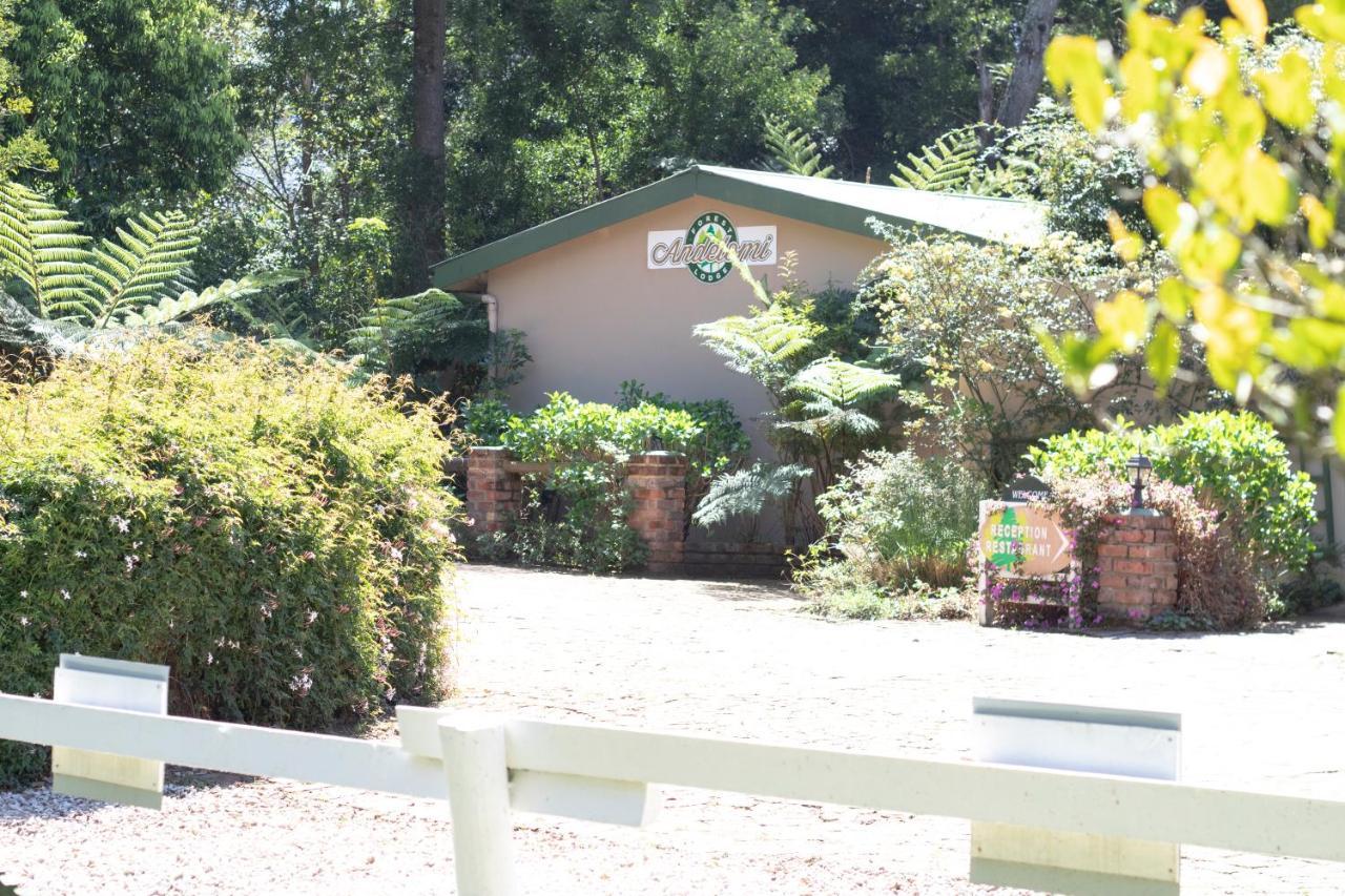 Andelomi Forest Lodge Stormsrivier Exterior photo