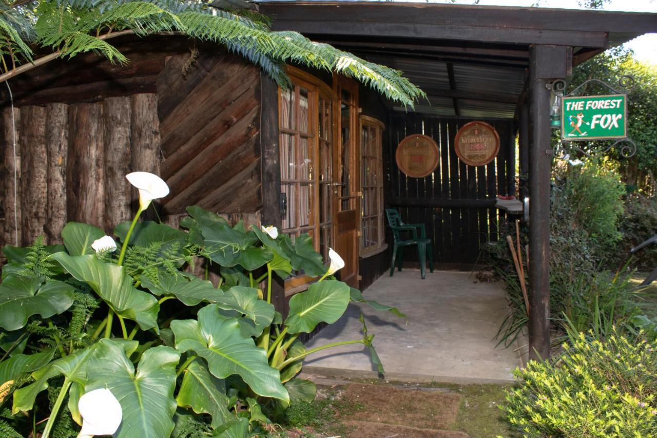 Andelomi Forest Lodge Stormsrivier Exterior photo