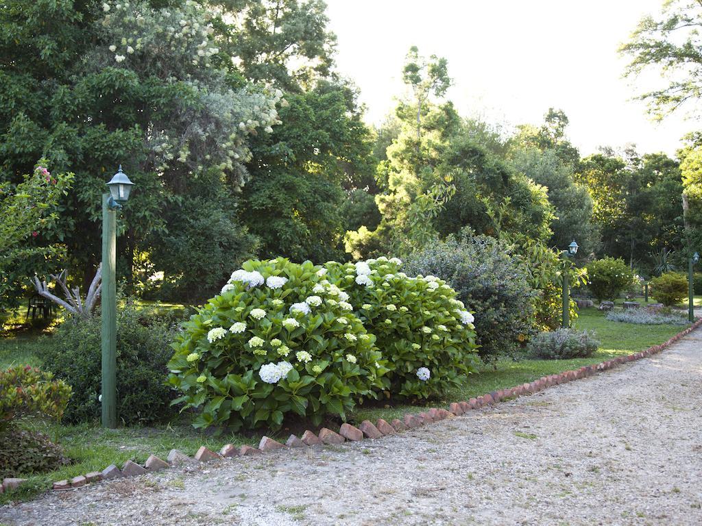 Andelomi Forest Lodge Stormsrivier Exterior photo