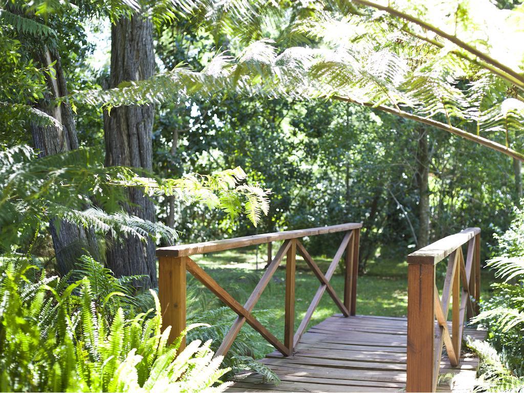 Andelomi Forest Lodge Stormsrivier Exterior photo